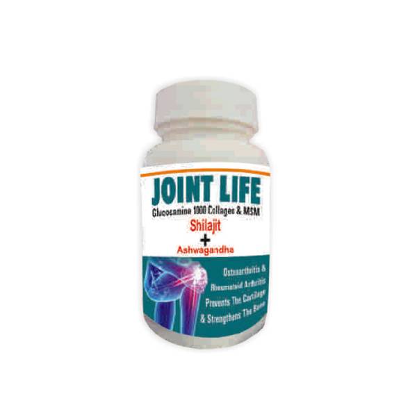 BioLife Herbals Herbal JOINT LIFE (ARITHRITIS) Capsule 30 Cap-Pack of 1