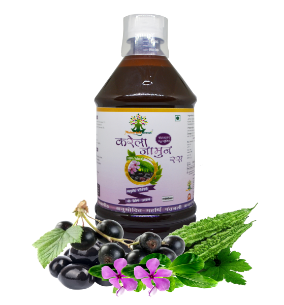 Online-Selling-Products-Karela-Jamun-Juice-1000ml.png