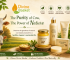 blog of Divine Basket